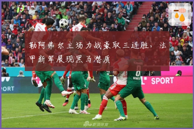 勒阿弗尔主场力战豪取三连胜，法甲新军展现黑马潜质