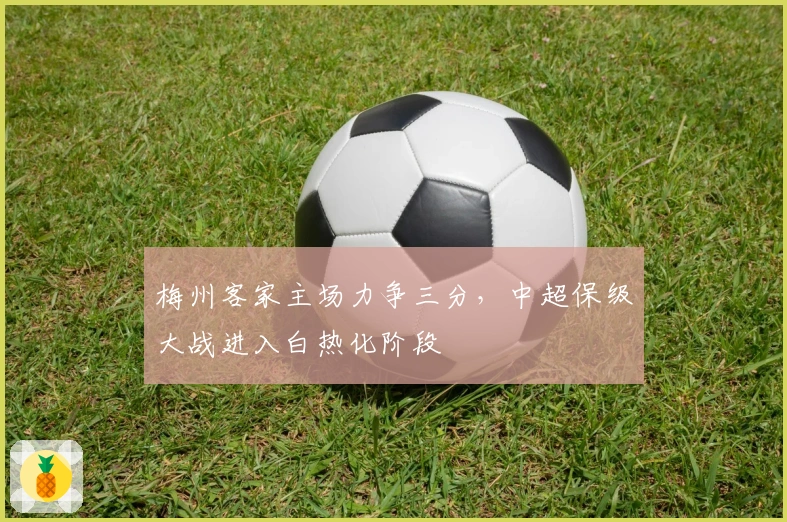 梅州客家主场力争三分，中超保级大战进入白热化阶段